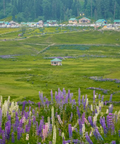 Gulmarg