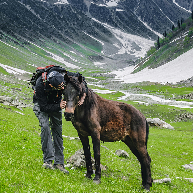 Nature & Scenic Tourism